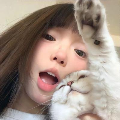白痴5和哭喊的夫人